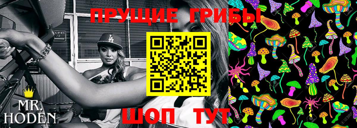 Псилоцибиновые грибы ЛСД Тихорецк